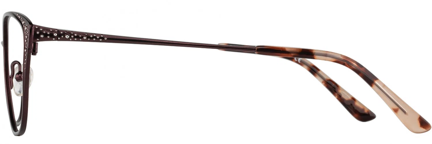 Cote DAzur CDA360 Eyeglasses - view 5